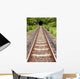 Entrance Train Tunnel Wall Decal