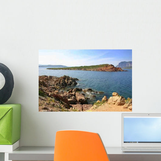 Red Island Capo Coda Wall Decal