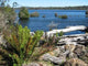 Tasmanischer See Wall Decal