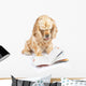 Dog Reading Book Wall Decal