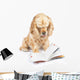 Dog Reading Book Wall Decal