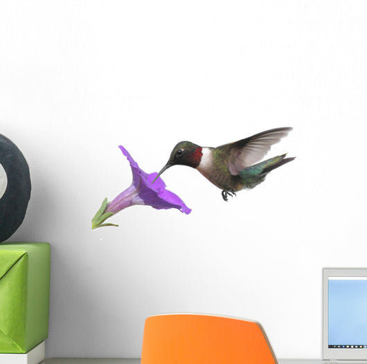 Ruby-throated Hummingbird Wall Decal