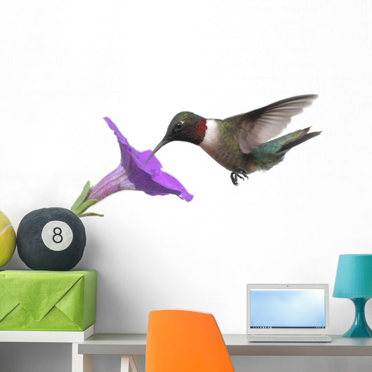 Ruby-throated Hummingbird Wall Decal