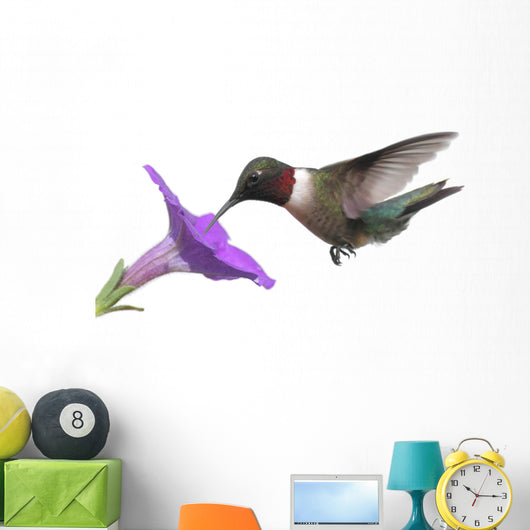 Ruby-throated Hummingbird Wall Decal
