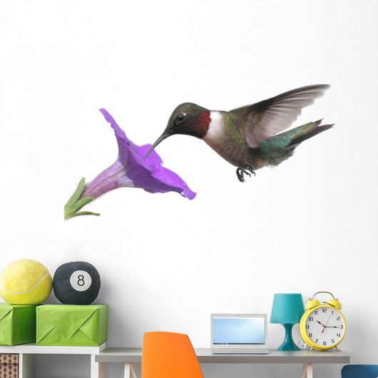 Ruby-throated Hummingbird Wall Decal