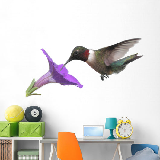 Ruby-throated Hummingbird Wall Decal