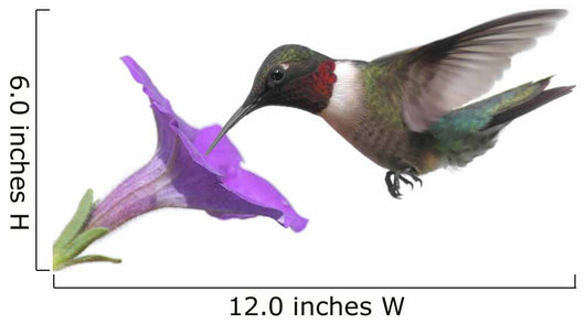 Ruby-throated Hummingbird Wall Decal