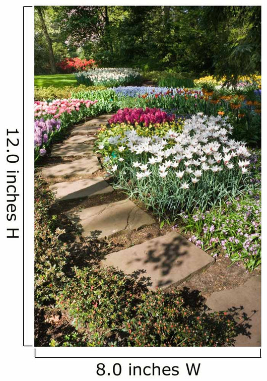 Flagstone Path with Spring Wall Decal