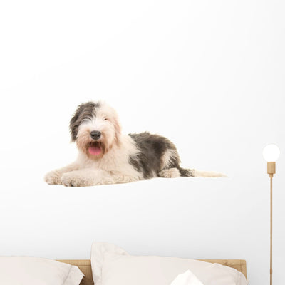 Old English Sheep Dog Wall Decal shown on a wall