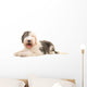 Old English Sheep Dog Wall Decal