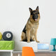 Dark Faced German Shepard Wall Decal