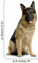 Dark Faced German Shepard Wall Decal