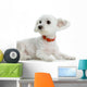 Maltese Wall Decal