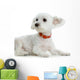 Maltese Wall Decal