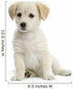 Jeune Labrador Wall Decal
