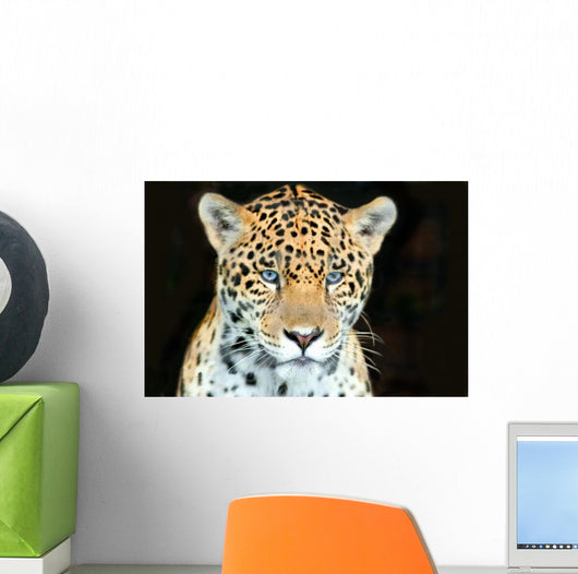 Head Shot Baby Jaguar Wall Decal