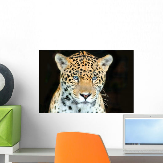 Head Shot Baby Jaguar Wall Decal