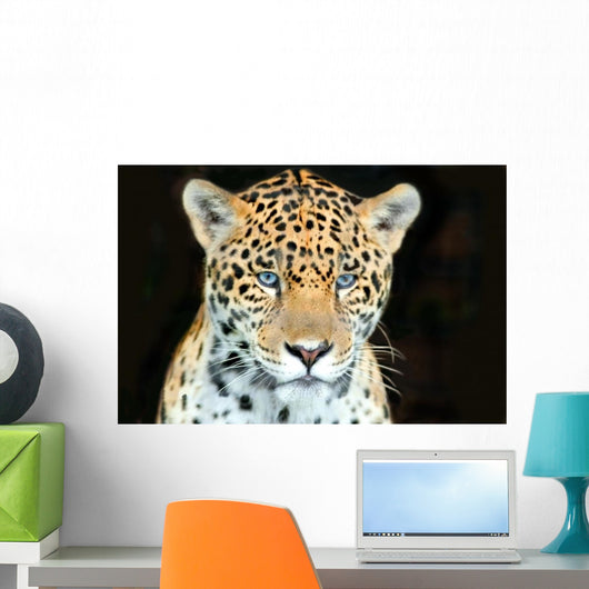 Head Shot Baby Jaguar Wall Decal