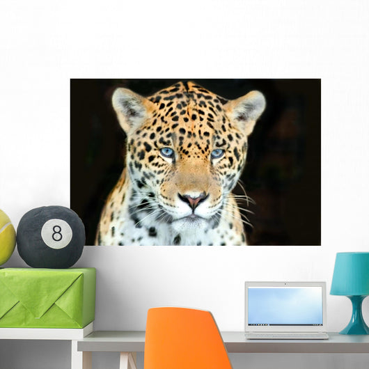 Head Shot Baby Jaguar Wall Decal