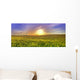 Feldblick Wall Decal