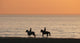 Chevaux Au Coucher Du Wall Decal