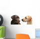 Looking Each Other Wall Decal