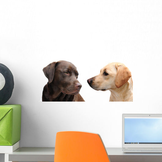 Looking Each Other Wall Decal