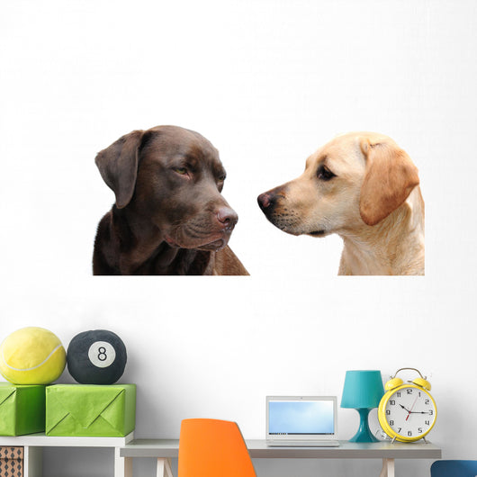 Looking Each Other Wall Decal