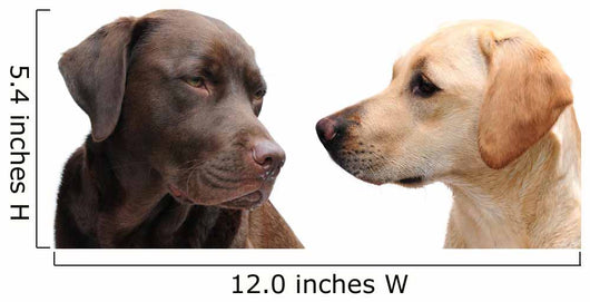Looking Each Other Wall Decal