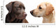 Looking Each Other Wall Decal