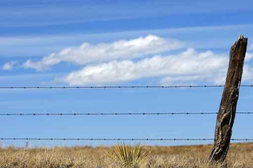 Barbed Wire Fence against Wall Decal