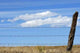 Barbed Wire Fence against Wall Decal