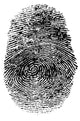 Fingerprint Wall Decal Design 1