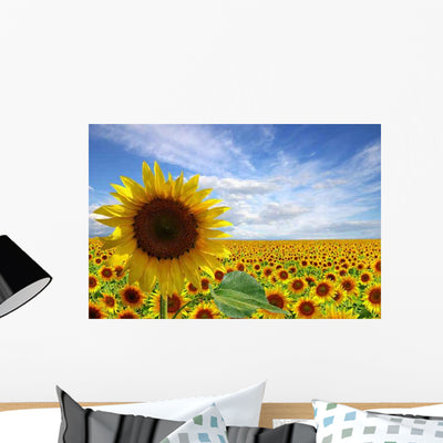 Flowers Sunflower Plantation Wall Decal shown on a wall