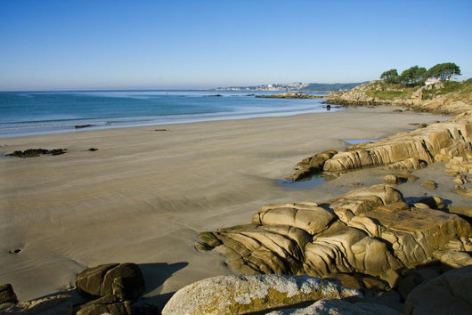 Rocas Y Playa Wall Decal