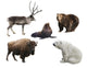 Russian Mammals Forest Animals Wall Decal