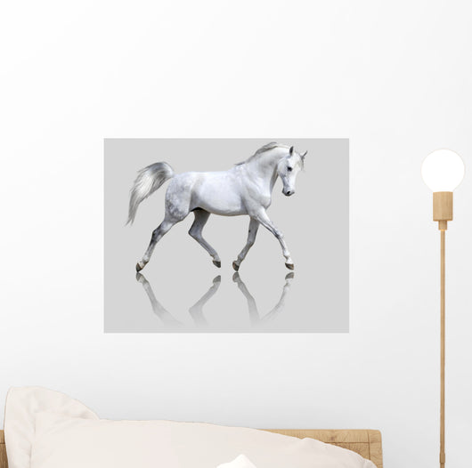 White Horse Gray Wall Decal