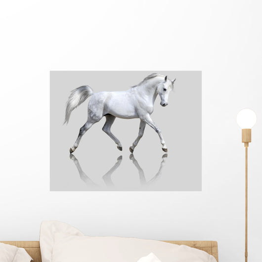 White Horse Gray Wall Decal