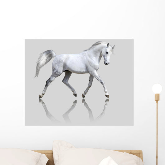 White Horse Gray Wall Decal