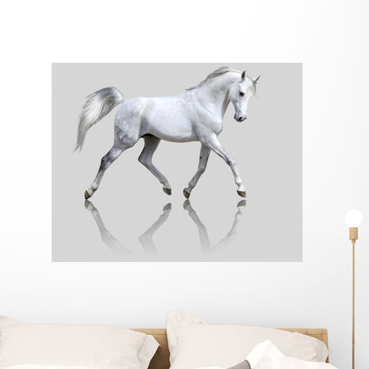 White Horse Gray Wall Decal