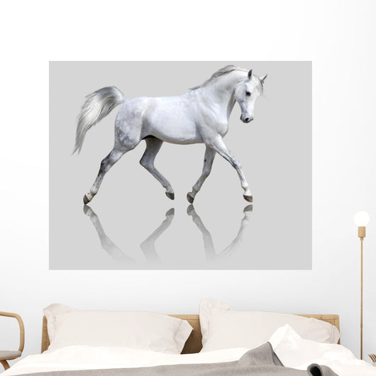 White Horse Gray Wall Decal
