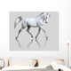 White Horse Gray Wall Decal