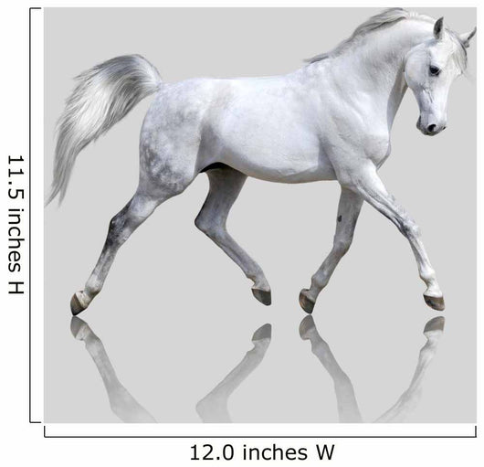 White Horse Gray Wall Decal