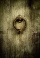 Grunge Rusty Antique Door Wall Decal