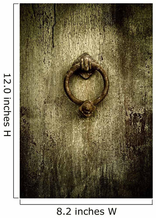 Grunge Rusty Antique Door Wall Decal