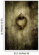 Grunge Rusty Antique Door Wall Decal