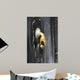 T Rklopfer Wall Decal