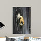 T Rklopfer Wall Decal