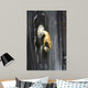 T Rklopfer Wall Decal