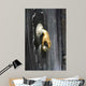 T Rklopfer Wall Decal